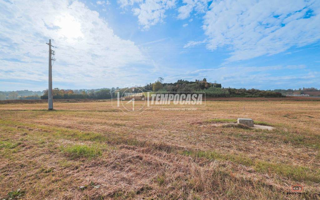 immagine annuncio 5 di 13