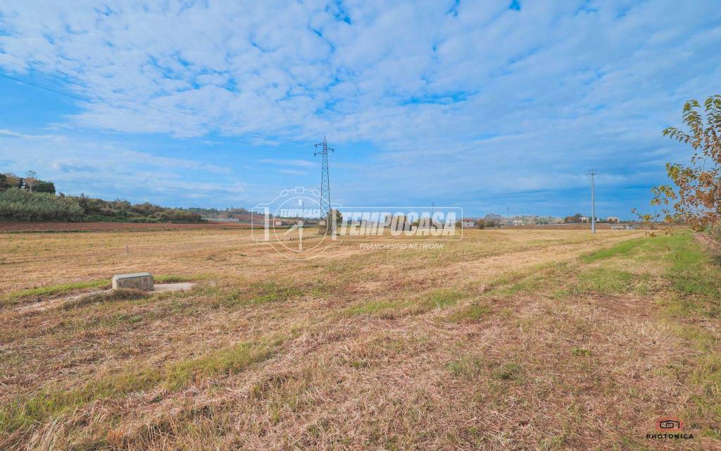 immagine annuncio 6 di 13