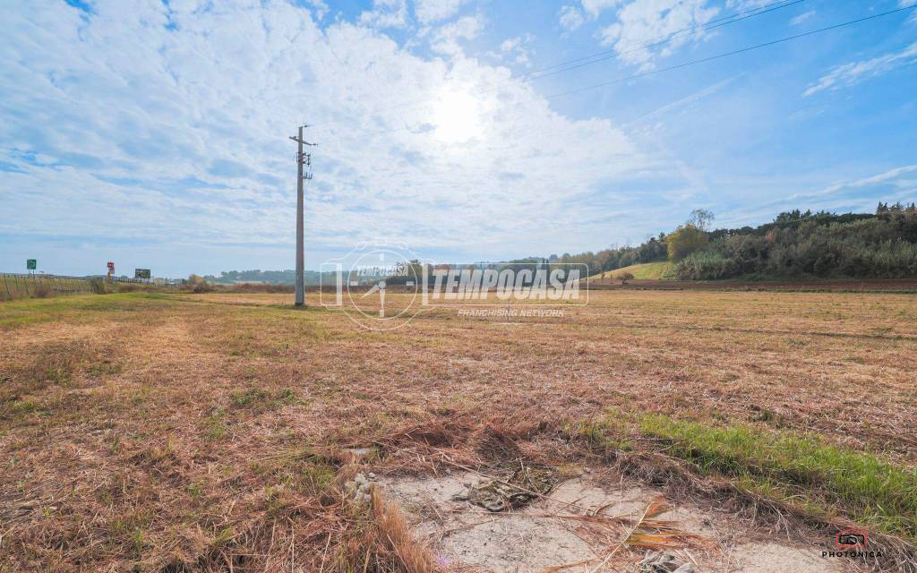 immagine annuncio 7 di 13