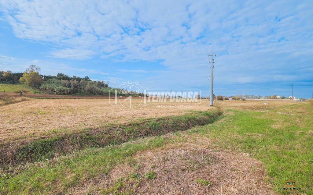 immagine annuncio 10 di 13