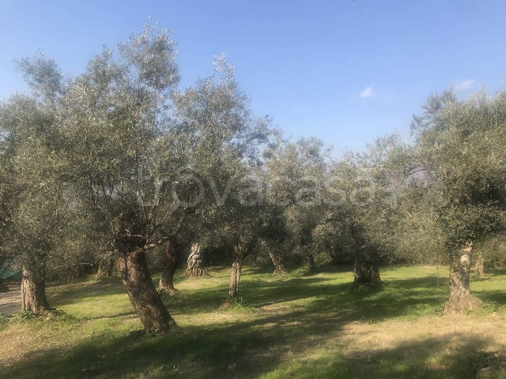 immagine annuncio 2 di 4