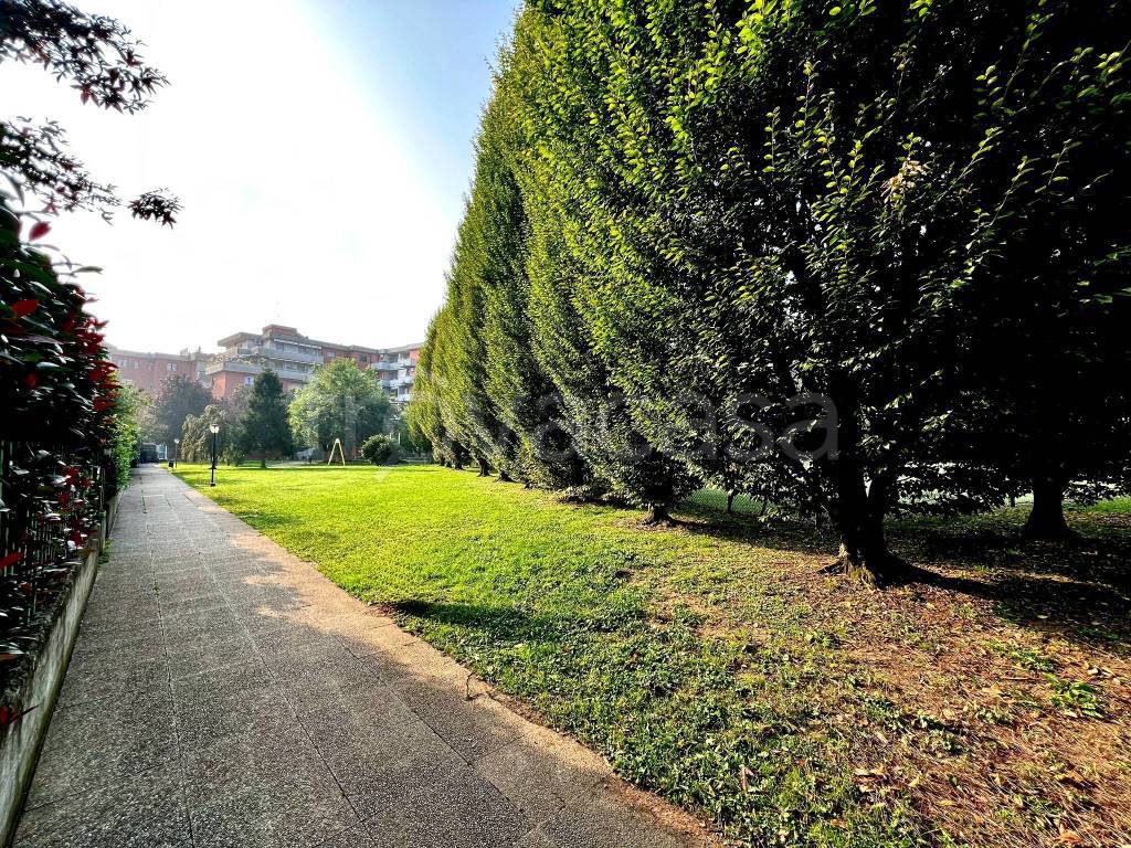 immagine annuncio 1 di 14