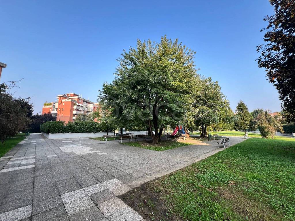 immagine annuncio 6 di 14