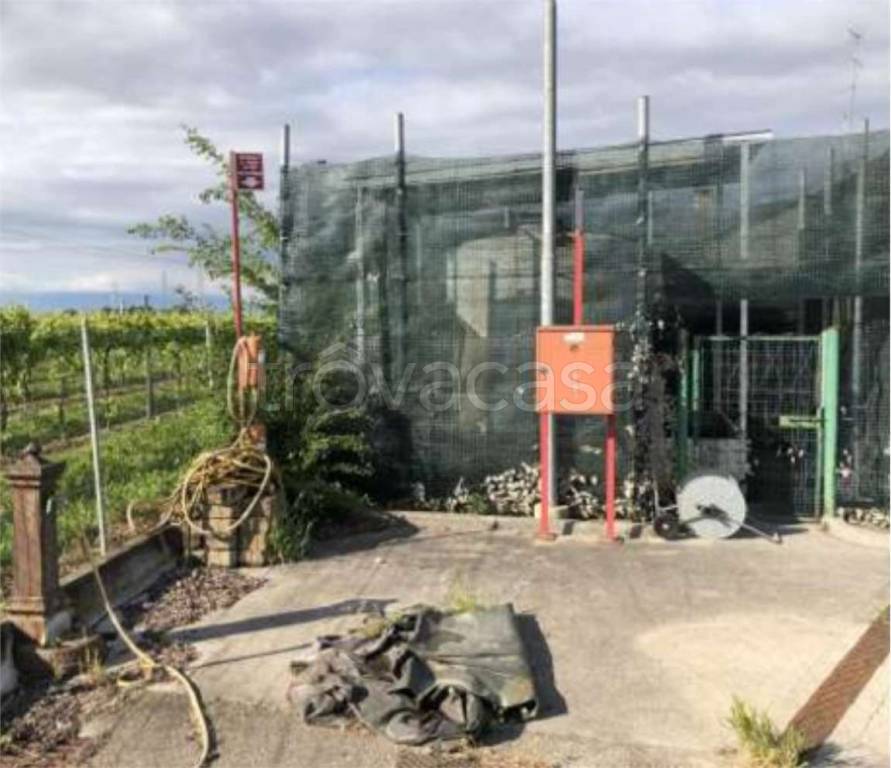 immagine annuncio 6 di 11