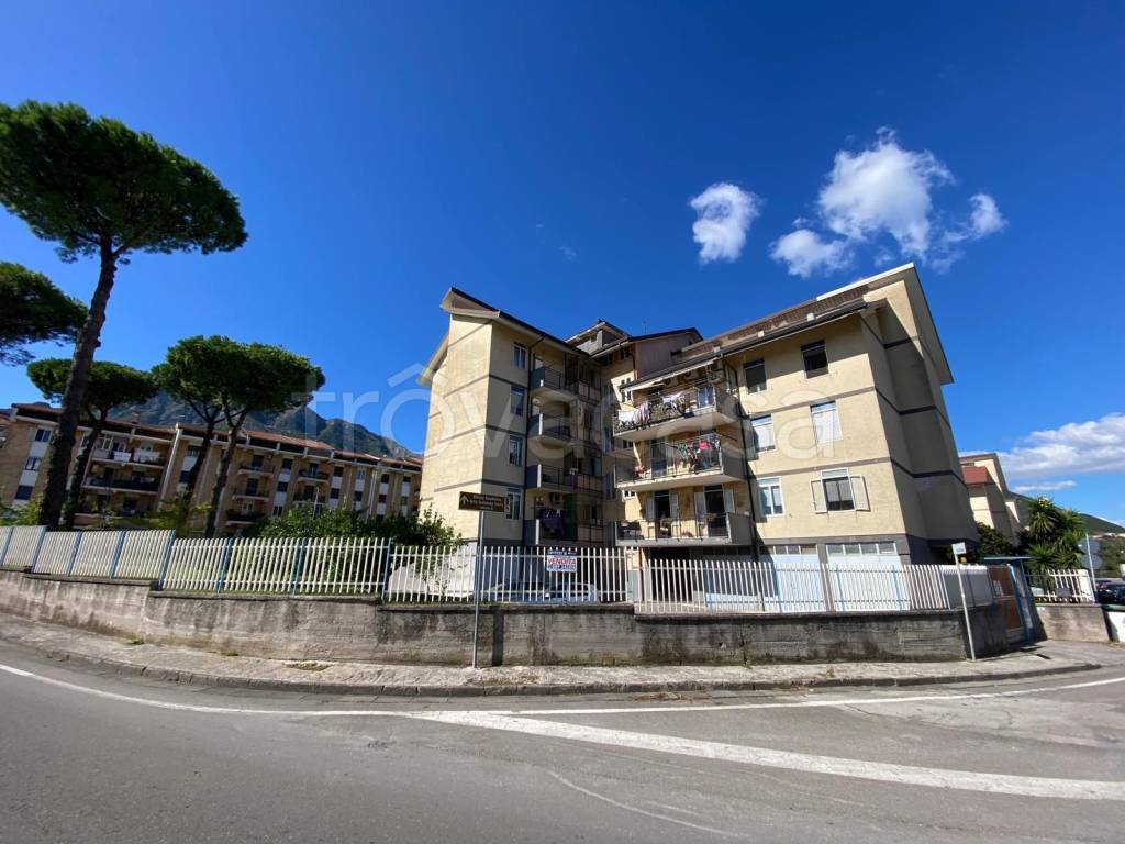 immagine annuncio 5 di 9