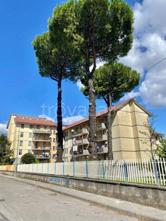 immagine annuncio 7 di 9