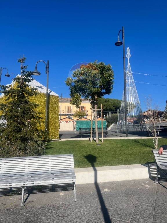 immagine annuncio 2 di 11