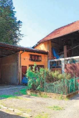 immagine annuncio 1 di 14