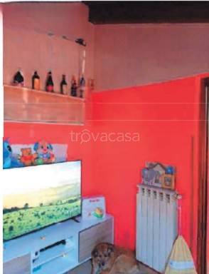 immagine annuncio 5 di 14