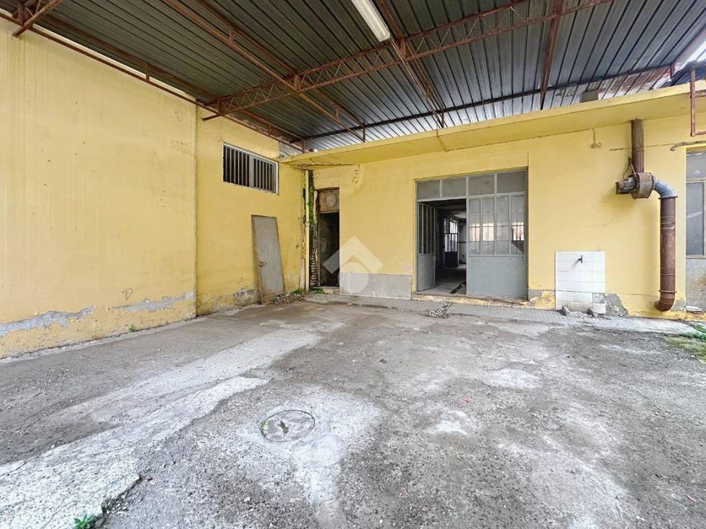 immagine annuncio 3 di 10