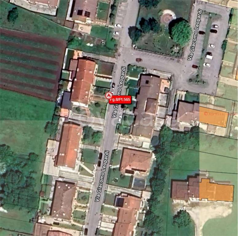 immagine annuncio 3 di 11