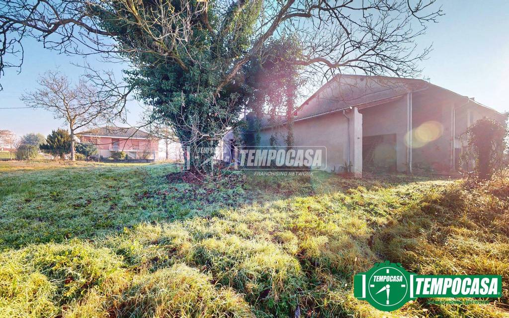 immagine annuncio 3 di 11