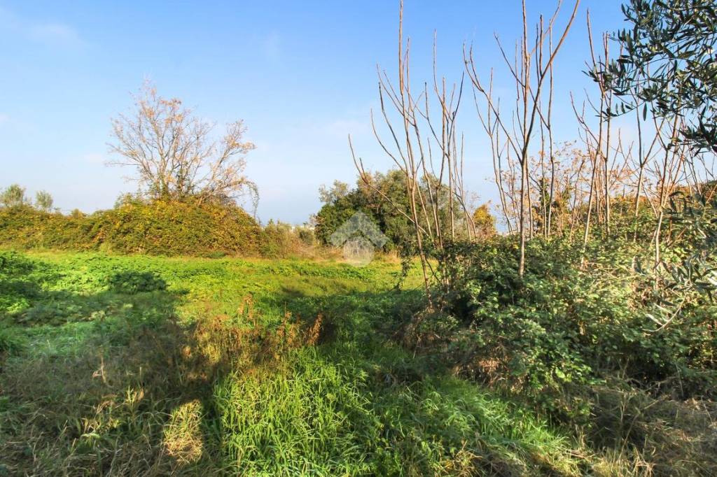 immagine annuncio 3 di 7