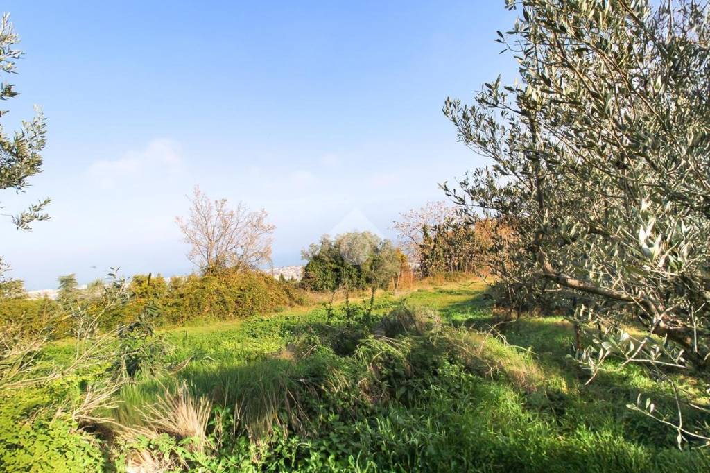 immagine annuncio 4 di 7