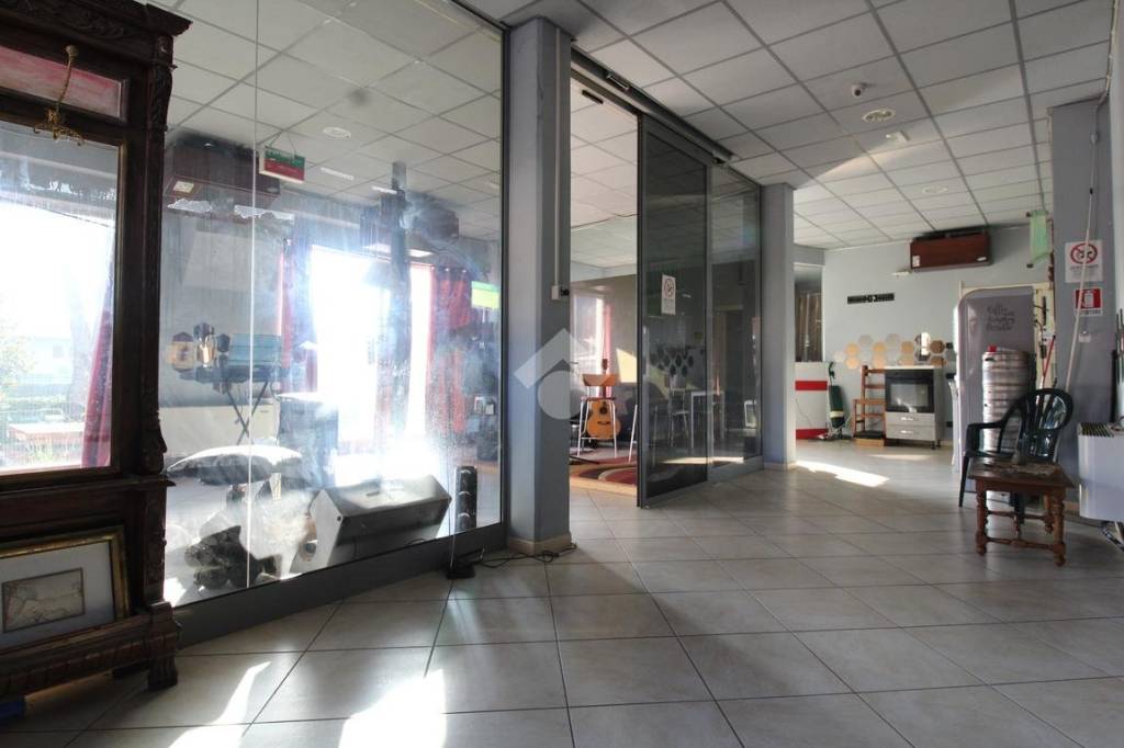 immagine annuncio 3 di 12