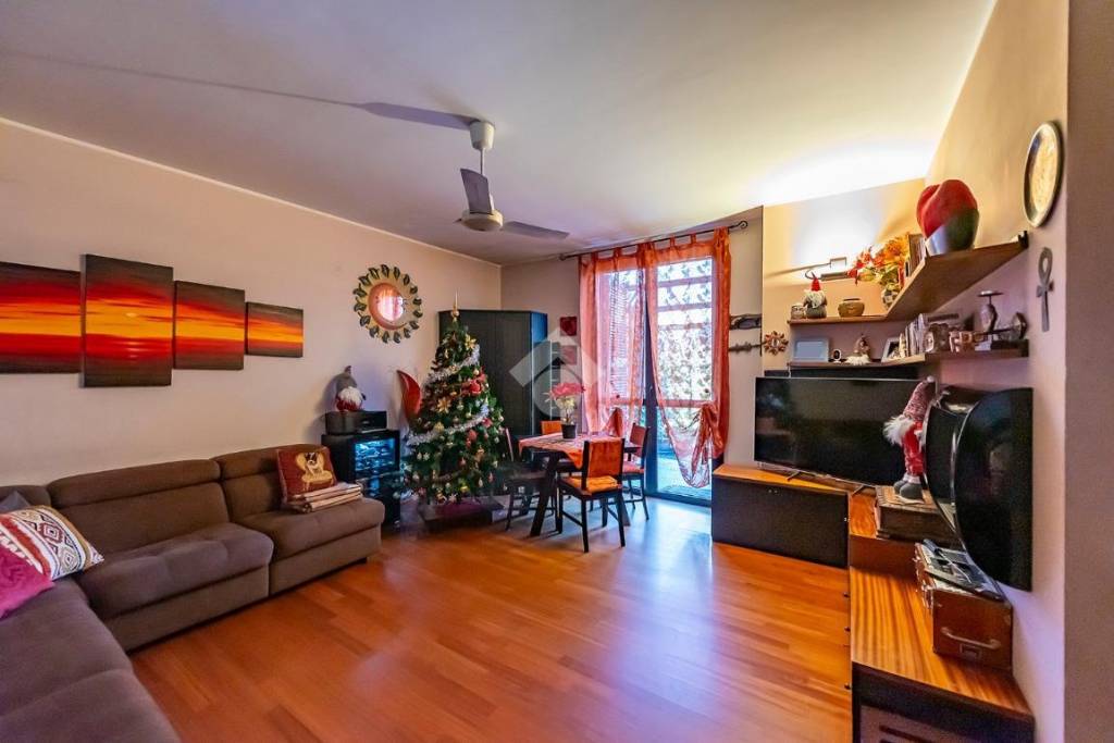 immagine annuncio 1 di 15