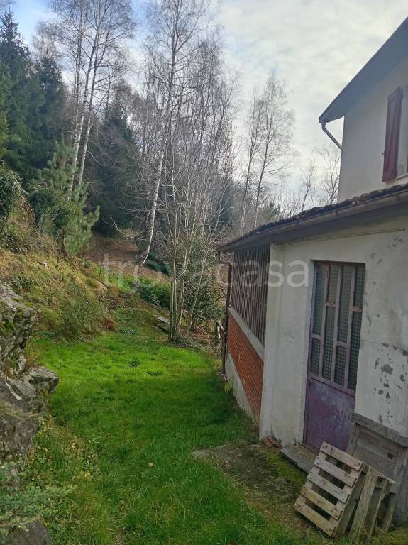 immagine annuncio 7 di 8