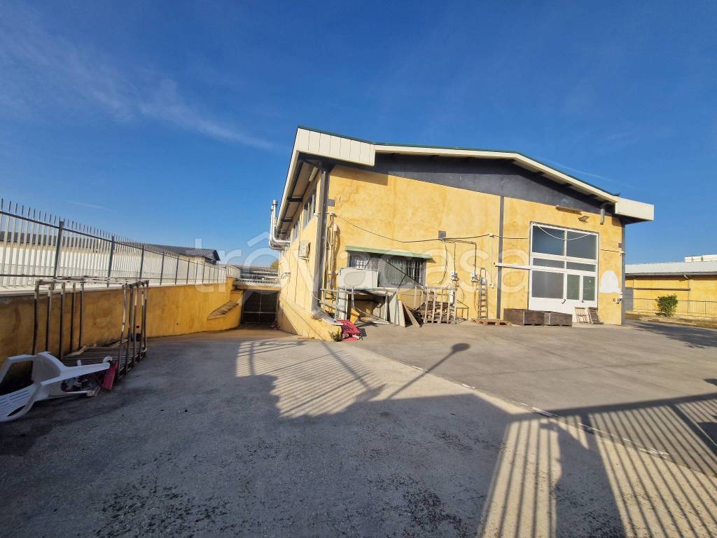 immagine annuncio 10 di 15