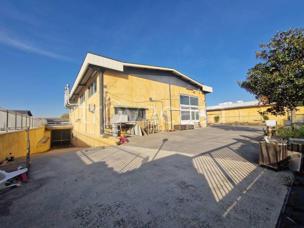 immagine annuncio 8 di 15