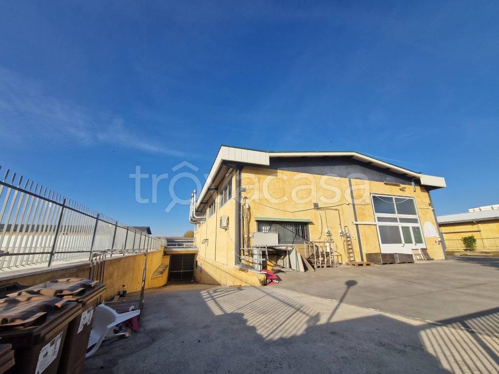 immagine annuncio 6 di 15