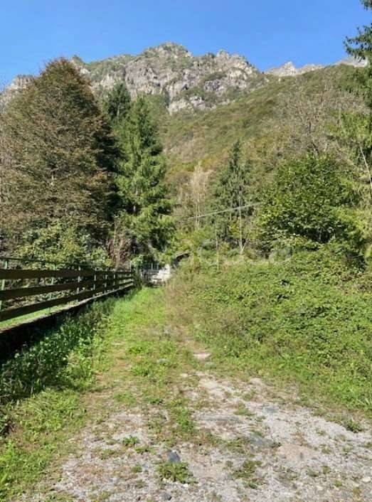 immagine annuncio 8 di 14