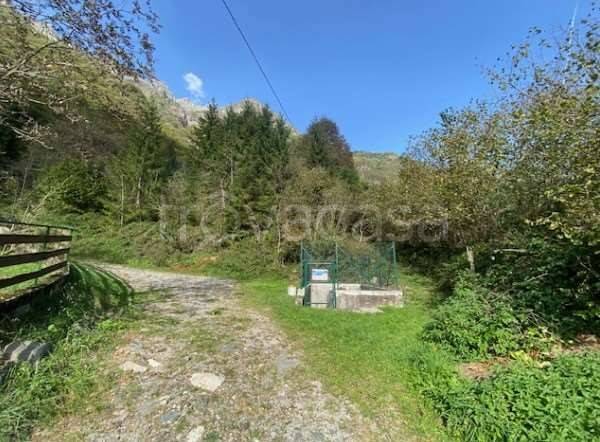 immagine annuncio 9 di 14