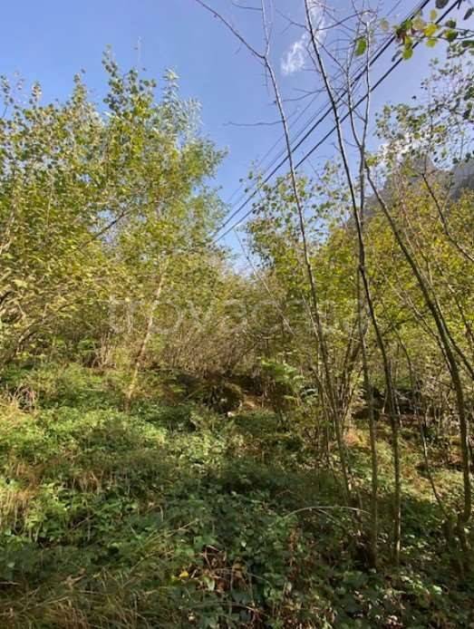 immagine annuncio 10 di 14