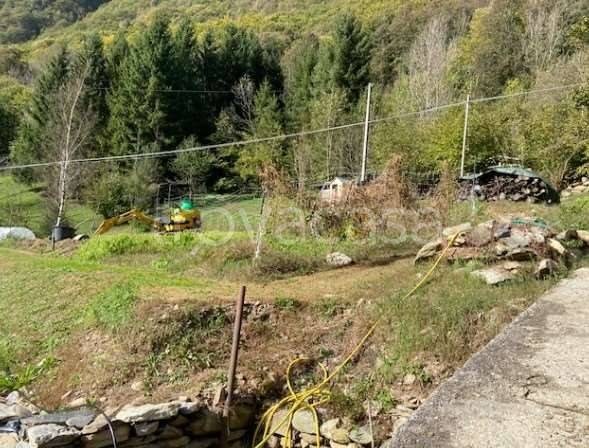 immagine annuncio 12 di 14