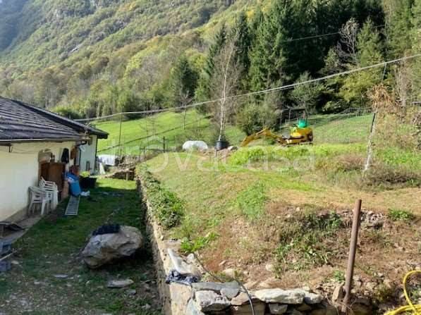 immagine annuncio 13 di 14