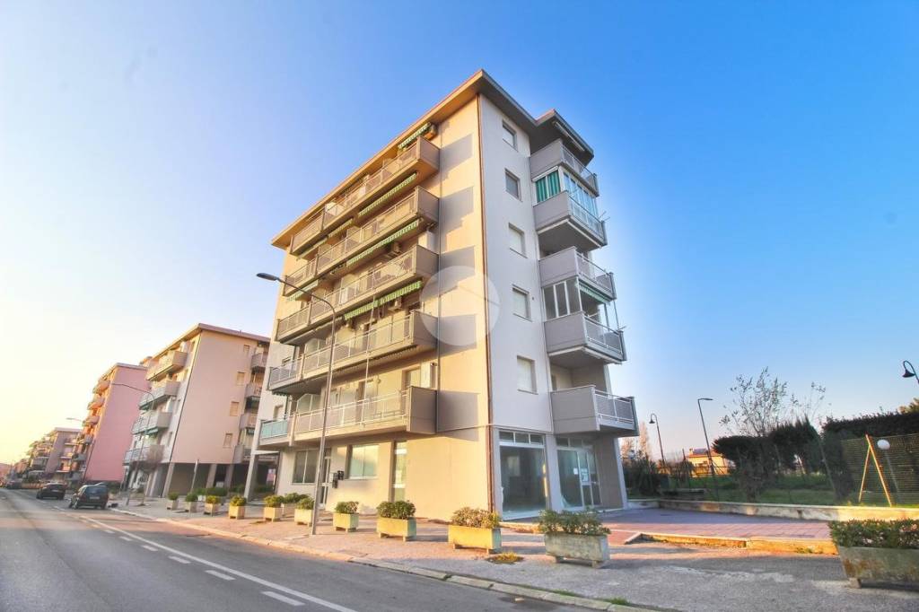 immagine annuncio 6 di 7