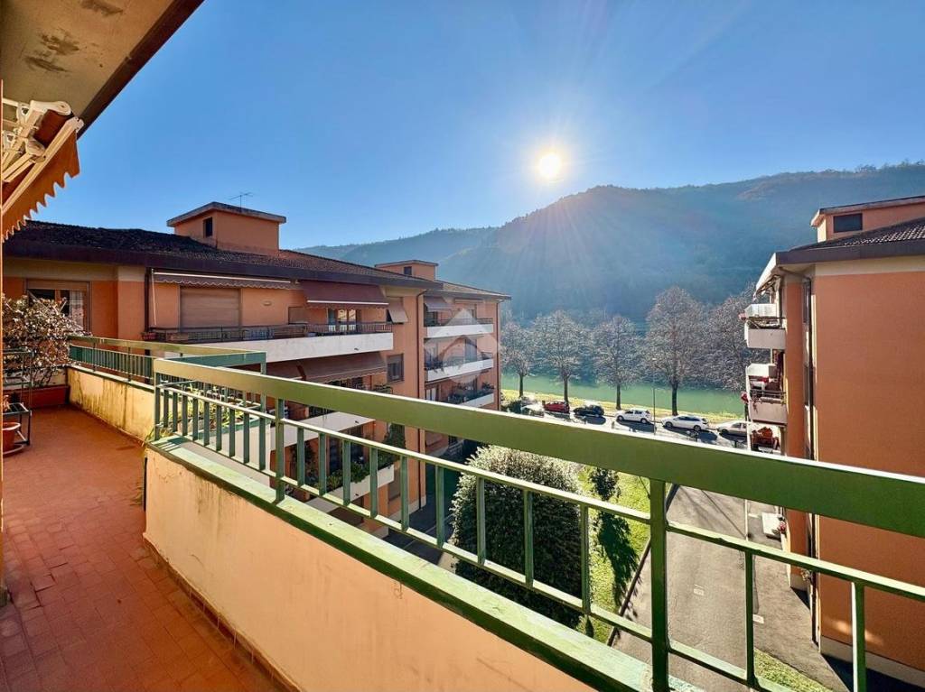 immagine annuncio 5 di 14