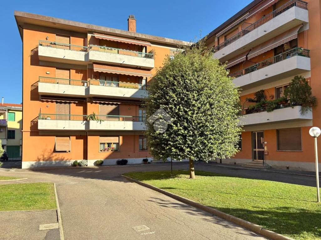 immagine annuncio 13 di 14