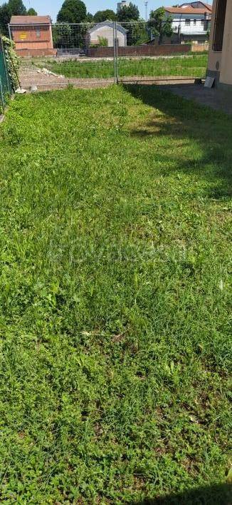 immagine annuncio 6 di 14