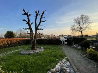 immagine annuncio 4 di 12