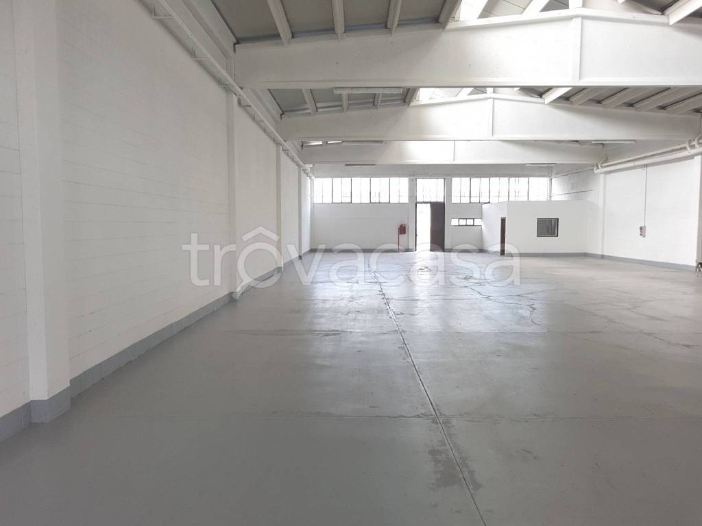 immagine annuncio 4 di 8