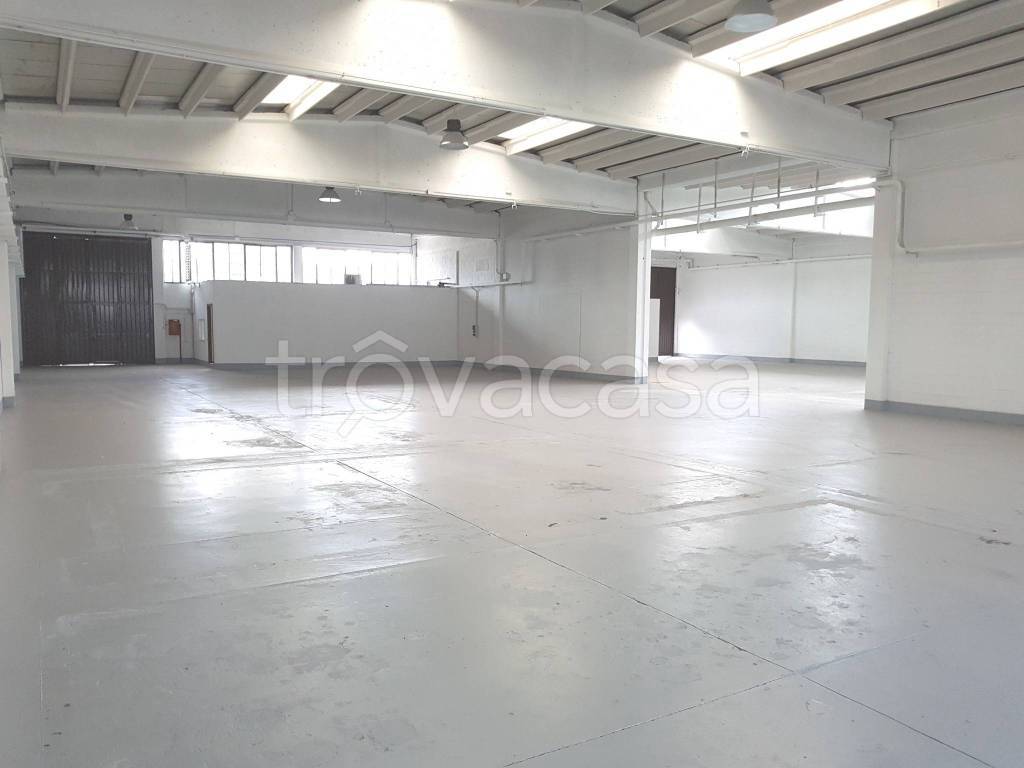 immagine annuncio 1 di 8