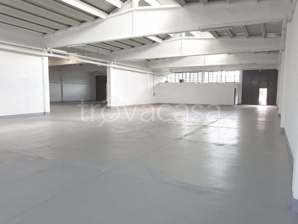 immagine annuncio 2 di 8