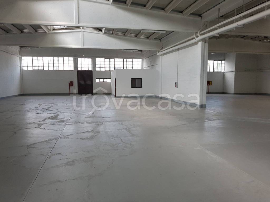 immagine annuncio 3 di 8