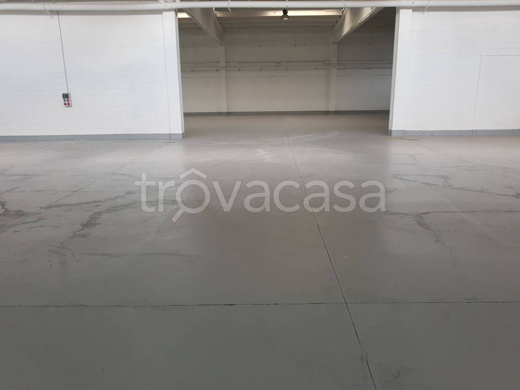 immagine annuncio 5 di 8