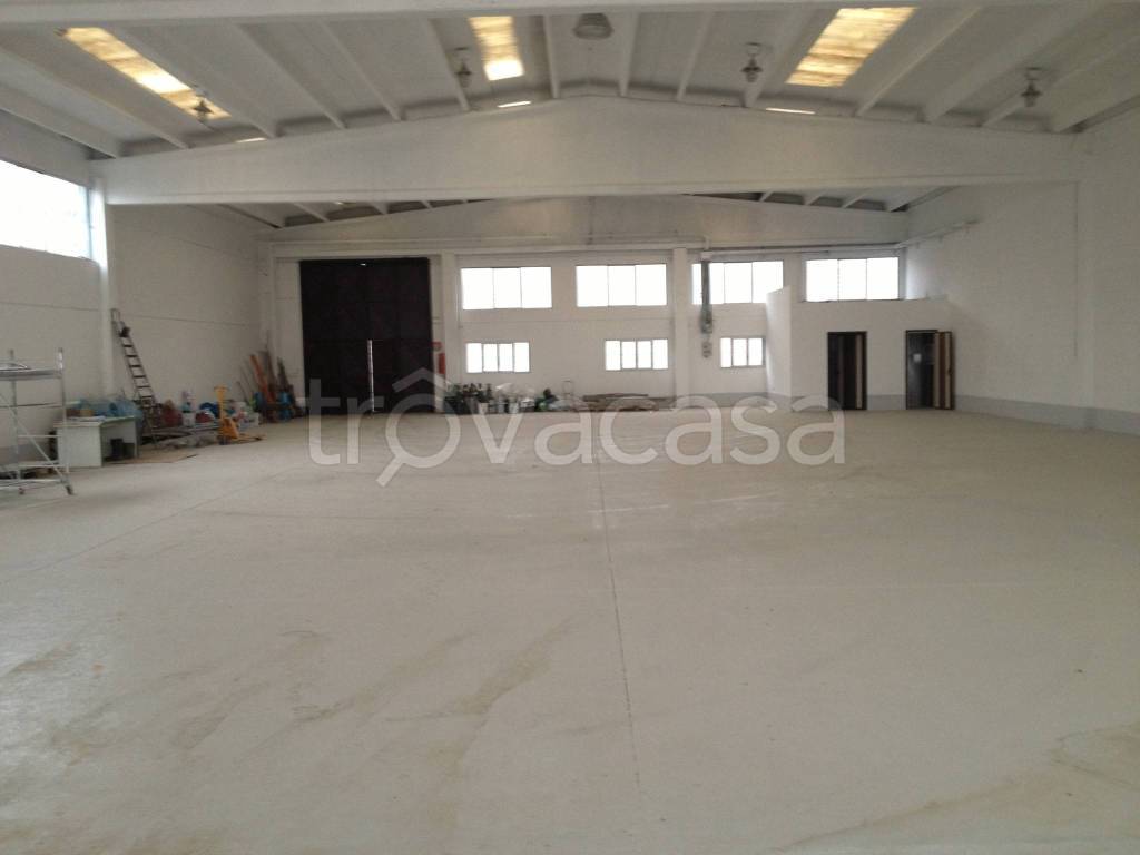 immagine annuncio 7 di 8