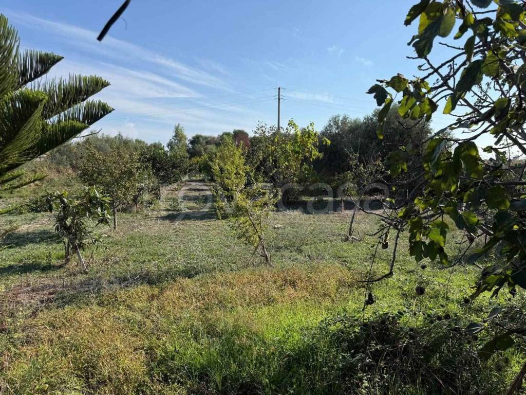 immagine annuncio 6 di 7