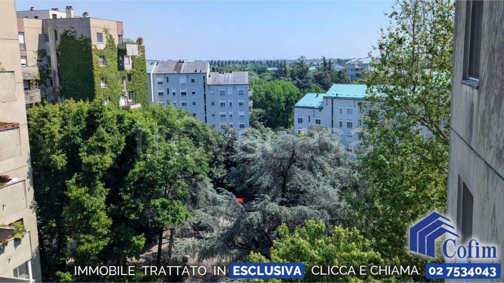 immagine annuncio 2 di 6