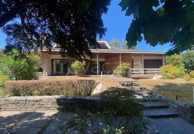 immagine annuncio 4 di 7