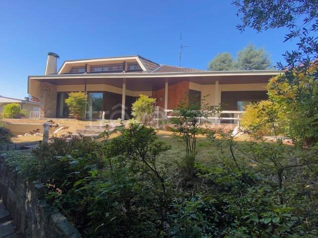 immagine annuncio 5 di 7