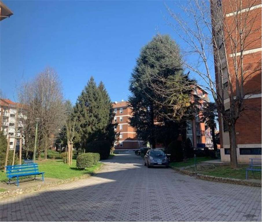 immagine annuncio 2 di 15