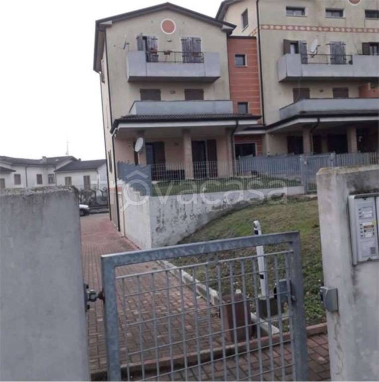 immagine annuncio 7 di 11