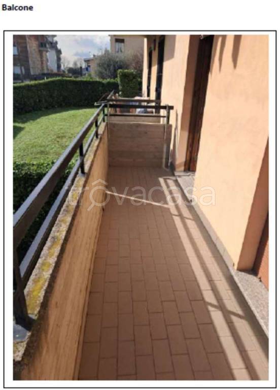 immagine annuncio 6 di 13