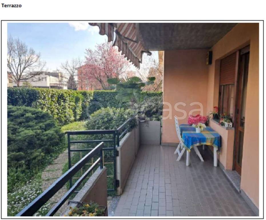 immagine annuncio 10 di 13