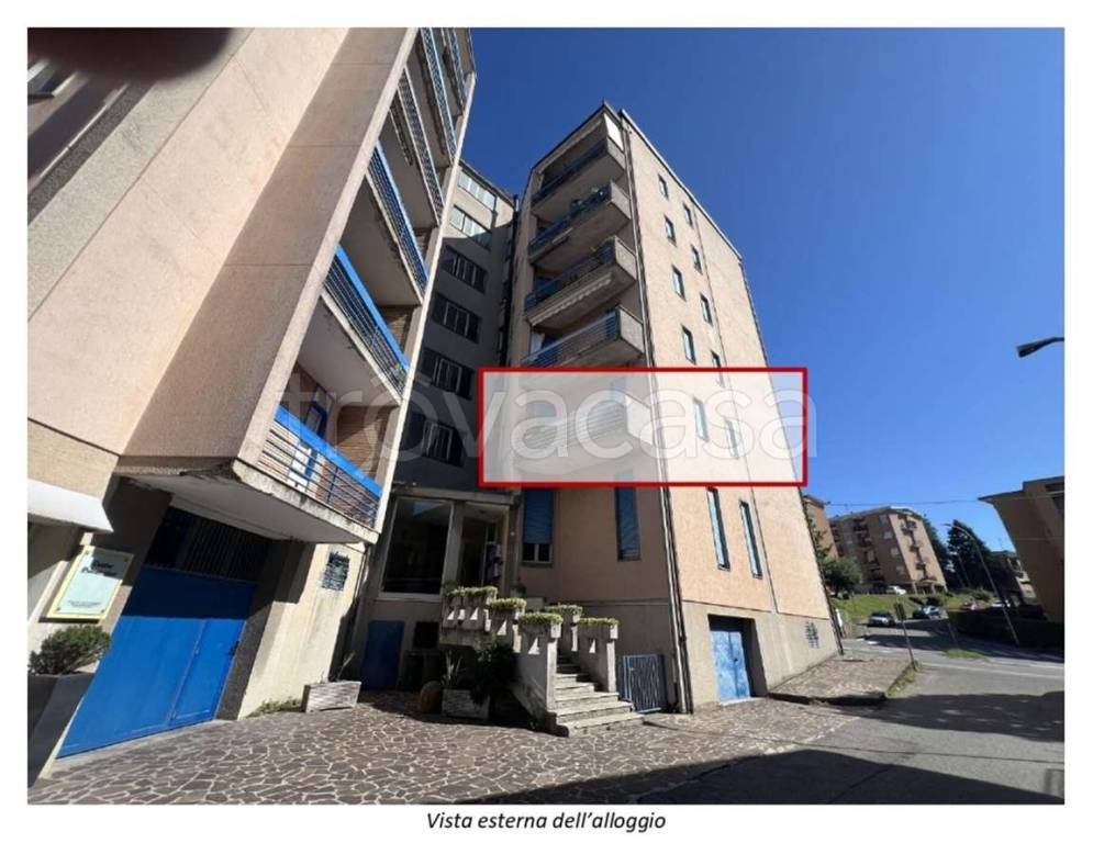 immagine annuncio 11 di 14