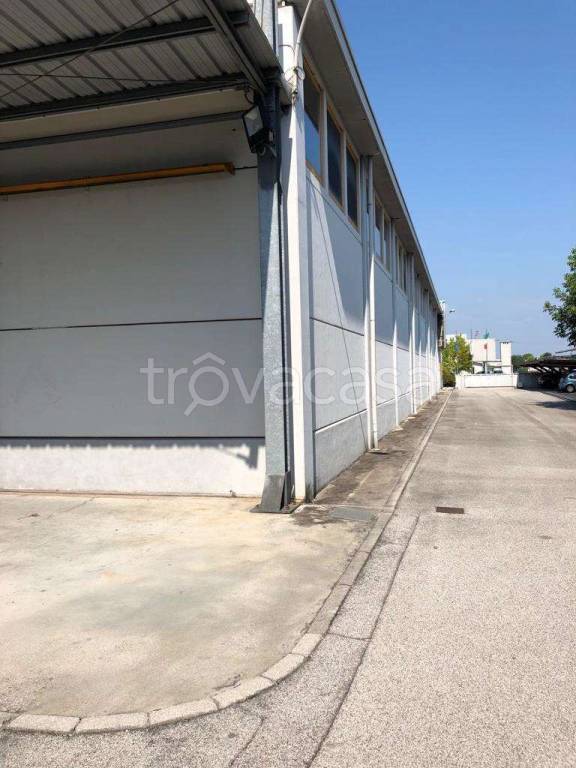 immagine annuncio 2 di 8